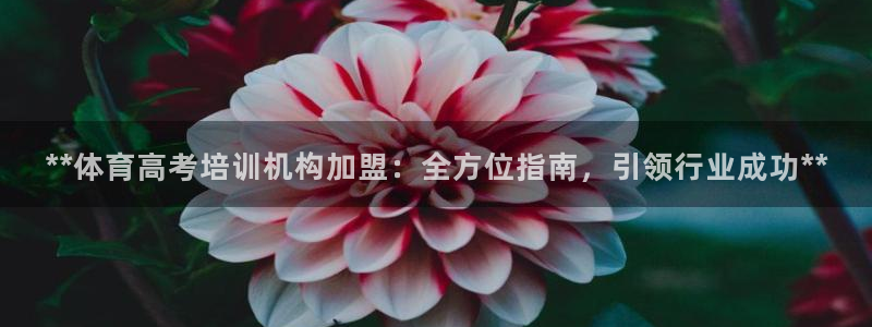 欧陆娱乐app打不开怎么回事