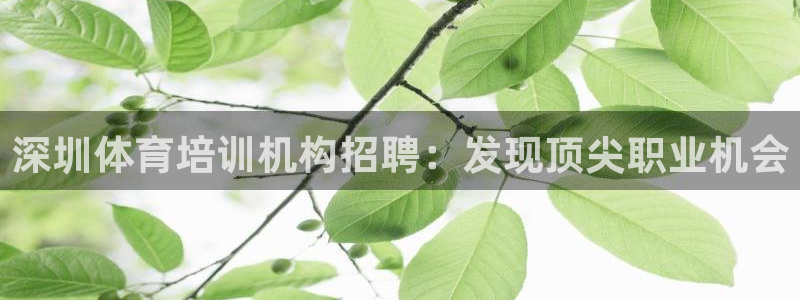 欧陆娱乐怎么注册会员账号啊：深圳体育培训机构招聘：发