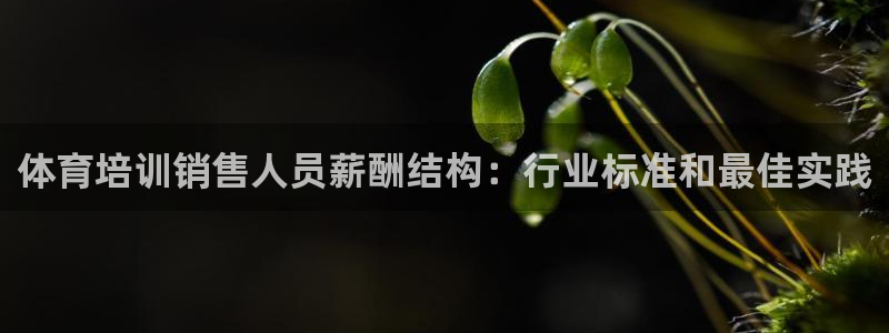 欧陆娱乐注册链接安全吗：体育培训销售人员薪酬结构：行